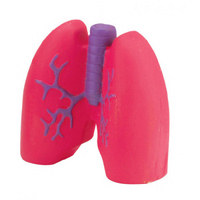 Stress Balls: Lungs Stress Balls
